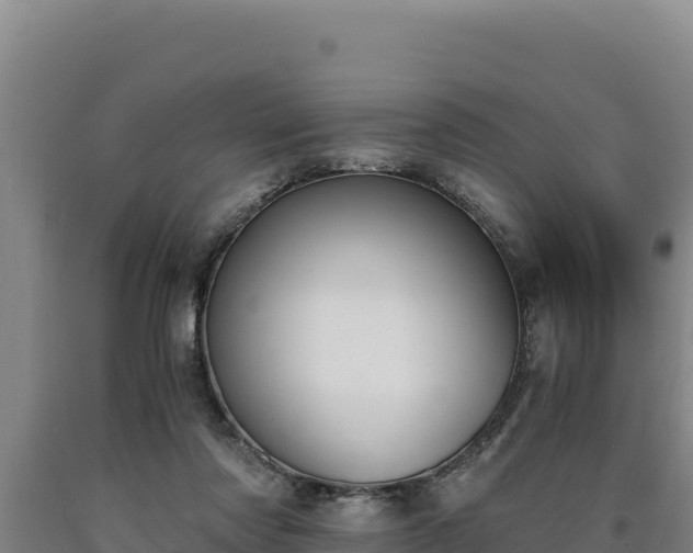 X0000090740310200707271429