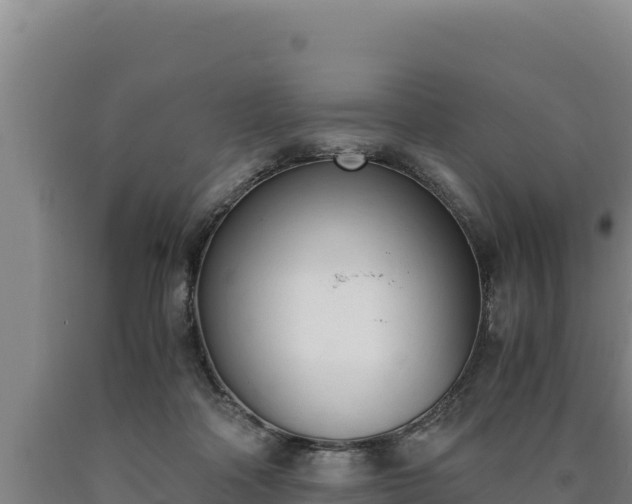 X0000090740314200707271429