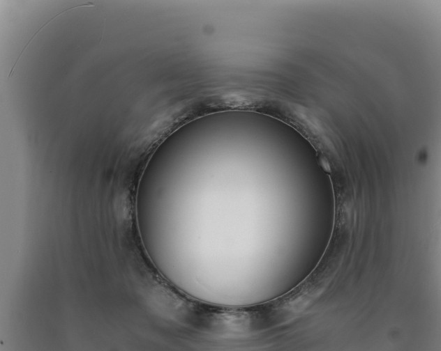 X0000090740317200707271429