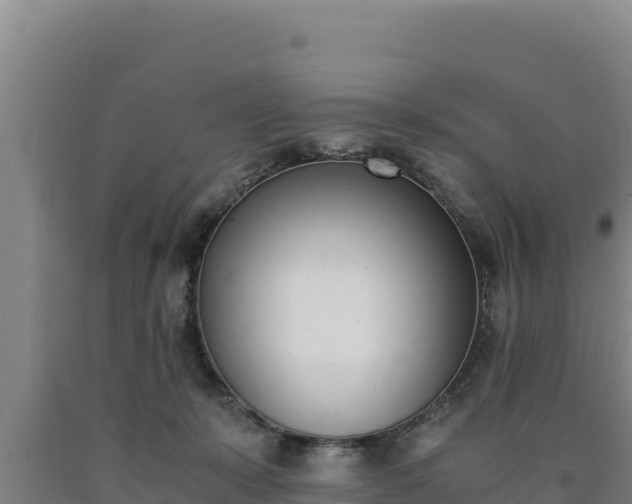 X0000090740319200707271429