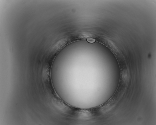 X0000090740322200707271429