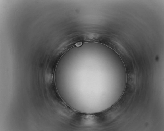 X0000090740324200707271429