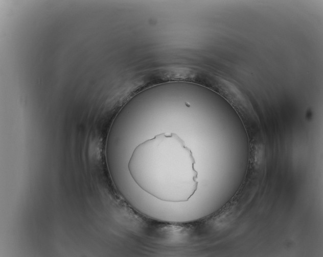 X0000090740326200707271429