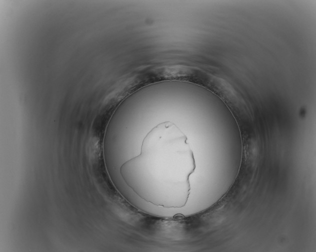 X0000090740327200707271429