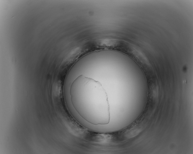 X0000090740328200707271429