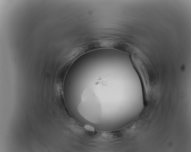 X0000090740329200707271429