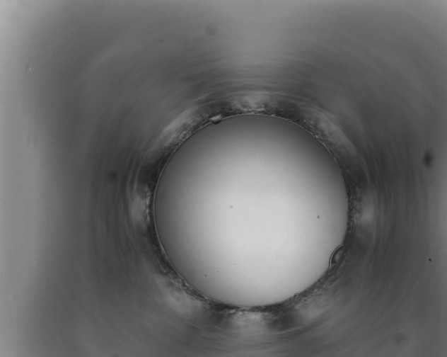 X0000090740332200707271429