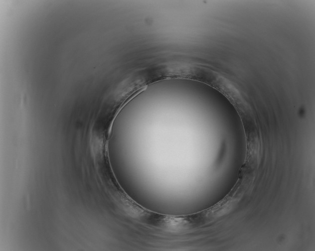 X0000090740333200707271429