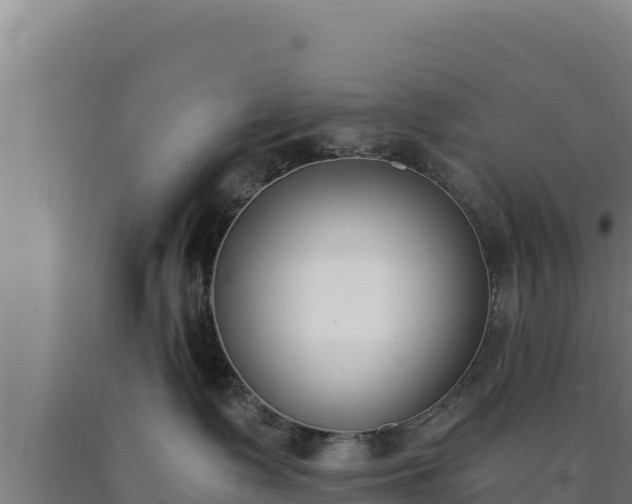 X0000090740335200707271429