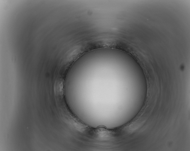 X0000090740336200707271429