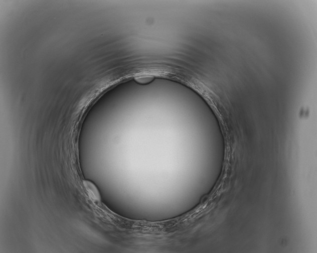 X0000090740337200707271428