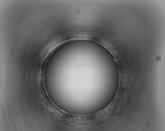 X0000090740338200707271428