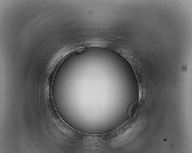 X0000090740339200707271428