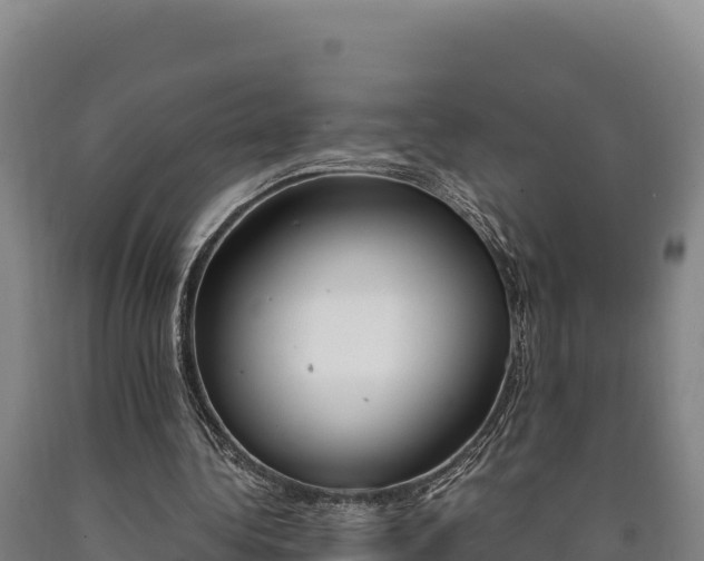 X0000090740340200707271428