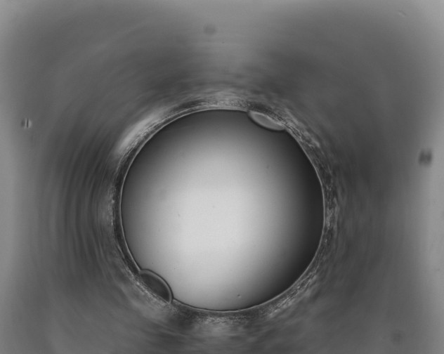 X0000090740341200707271428