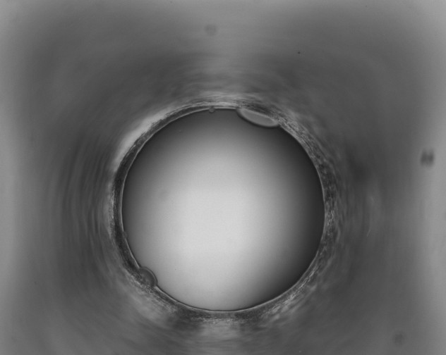 X0000090740342200707271428