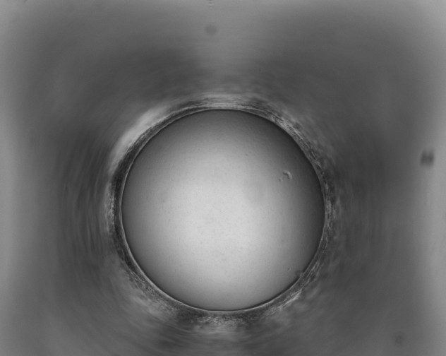 X0000090740343200707271428