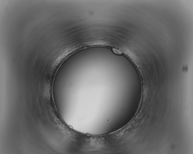 X0000090740345200707271429