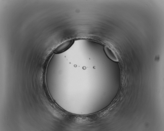 X0000090740346200707271429