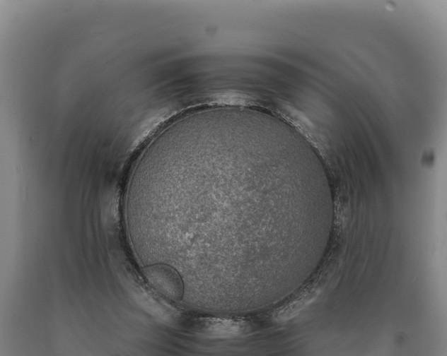 X0000090740347200707271429