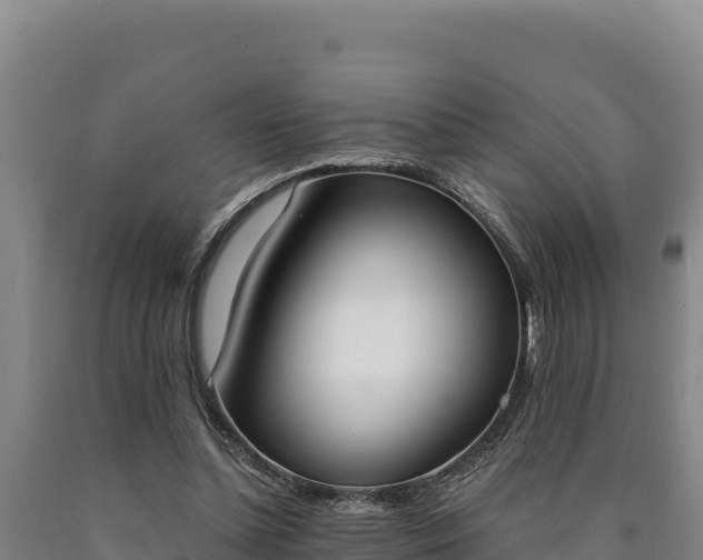 X0000090740348200707271429