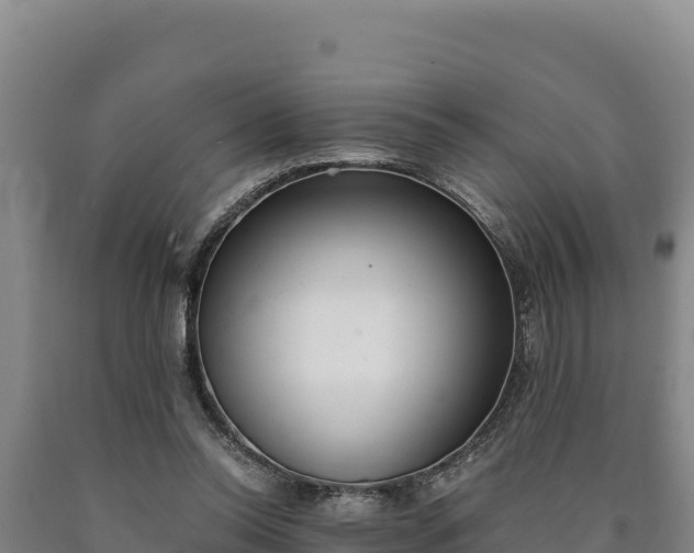 X0000090740350200707271429