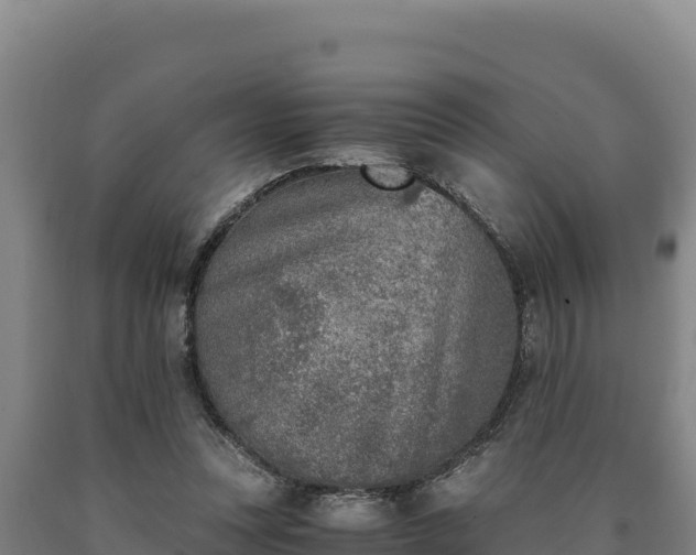 X0000090740351200707271429