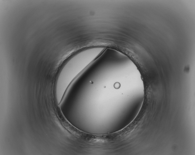 X0000090740352200707271429