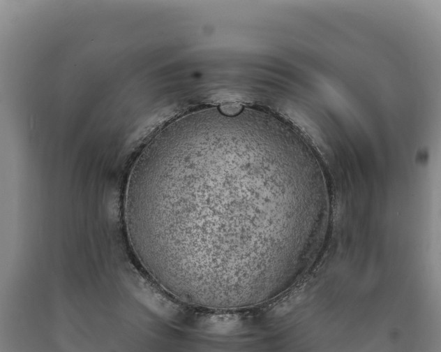X0000090740353200707271429