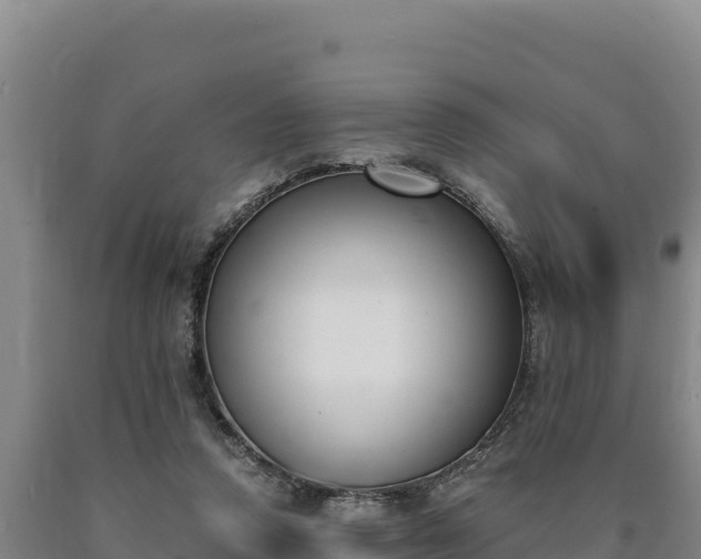 X0000090740354200707271429