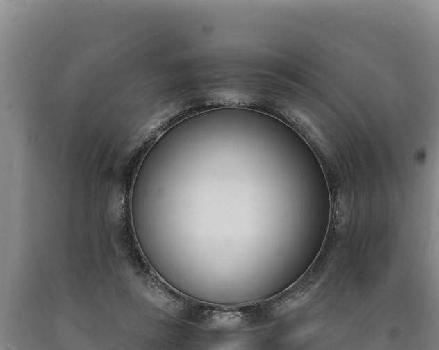 X0000090740355200707271429