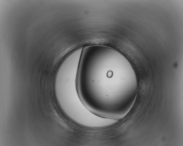 X0000090740356200707271429