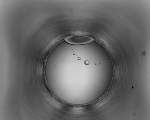 X0000090740357200707271429