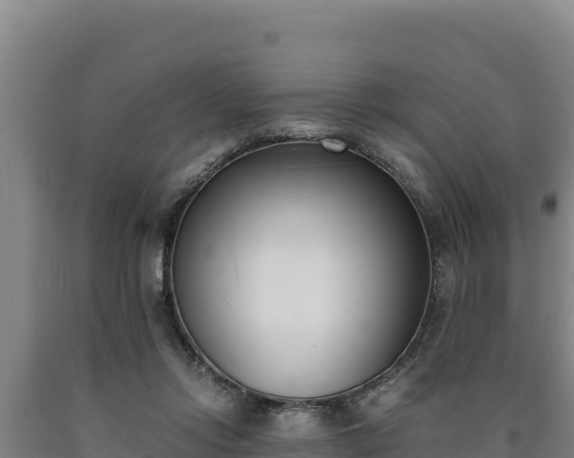 X0000090740358200707271429