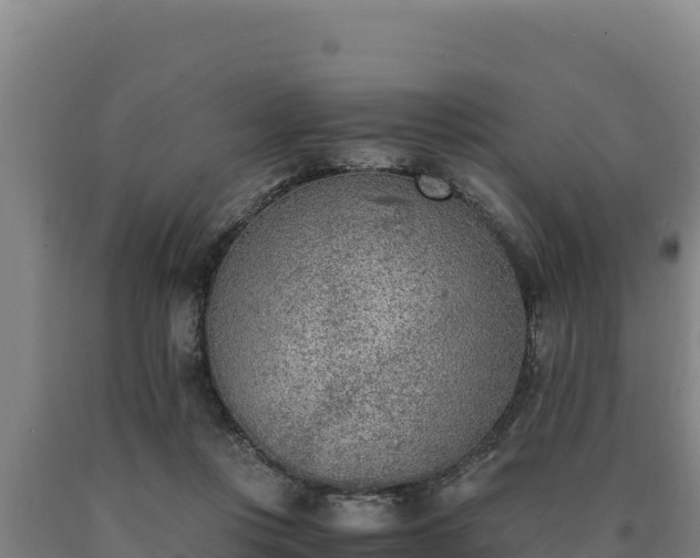 X0000090740359200707271429