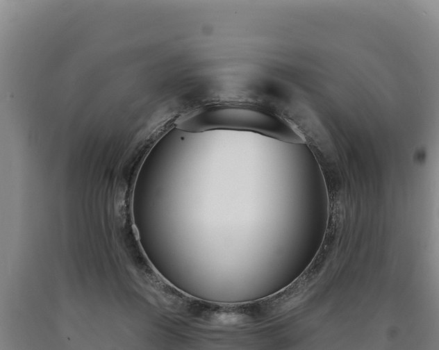 X0000090740360200707271429