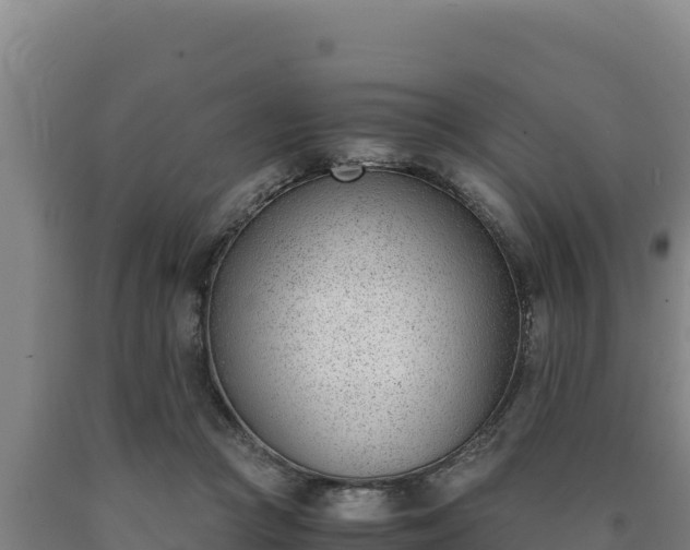 X0000090740361200707271429