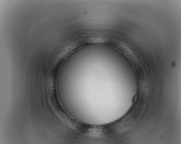 X0000090740362200707271429