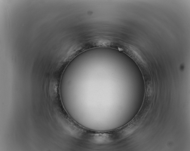 X0000090740363200707271429