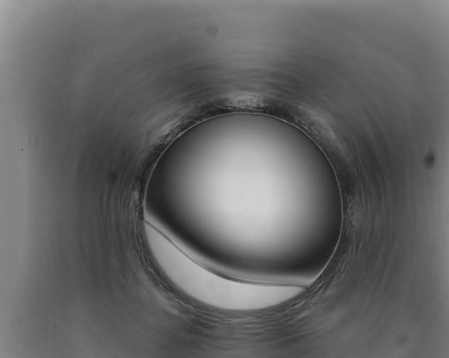 X0000090740364200707271429