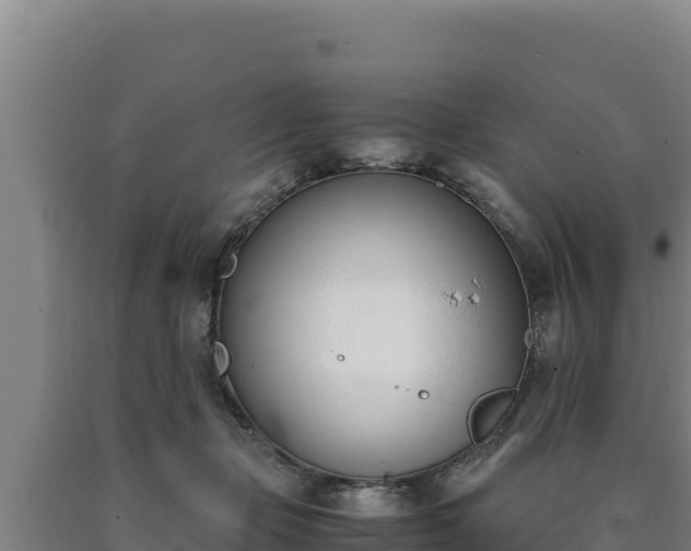 X0000090740365200707271429