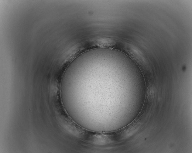 X0000090740367200707271429