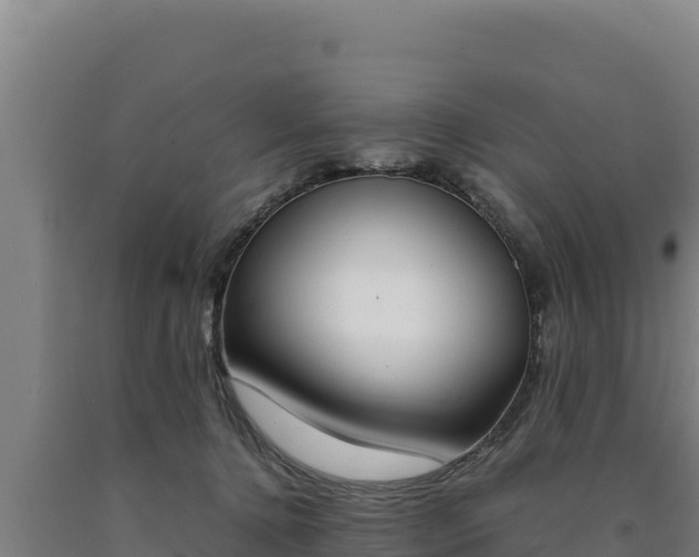 X0000090740368200707271429