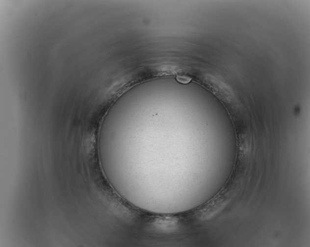 X0000090740369200707271429