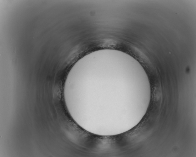 X0000090740370200707271429