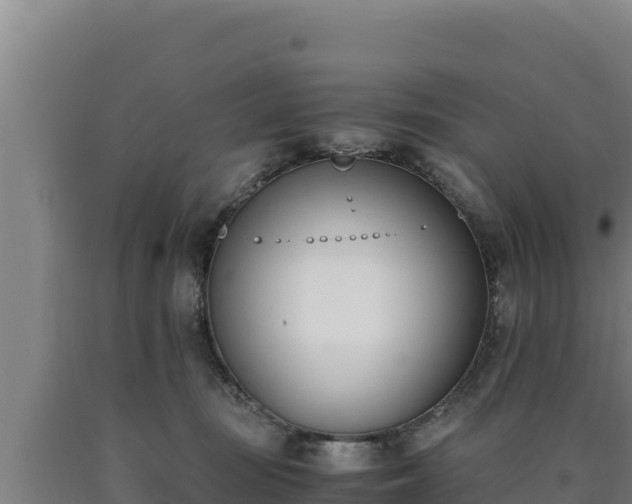 X0000090740371200707271429