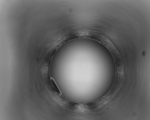 X0000090740372200707271429