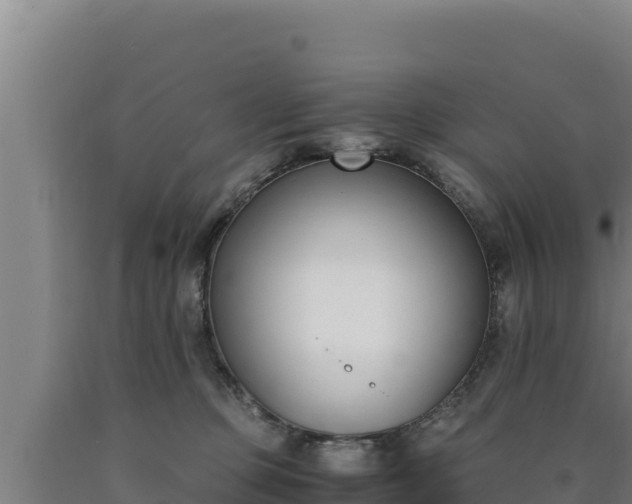 X0000090740373200707271429