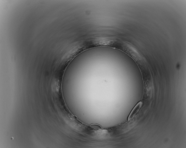 X0000090740374200707271429