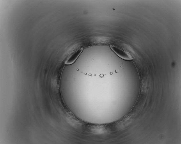 X0000090740377200707271429